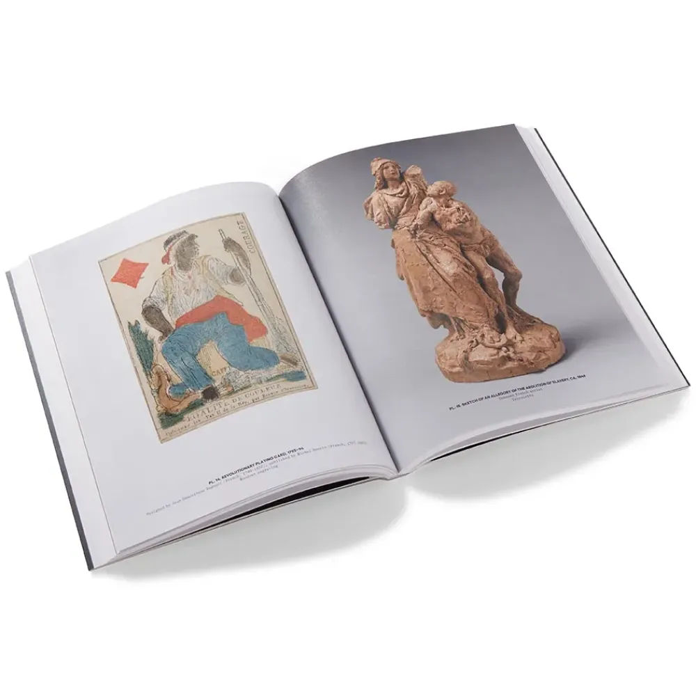 Sale Fictions Of Emancipation: Carpeaux'S Why Born Enslaved! Reconsidered Exhibition Catalogues