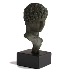 New Head Of A Youth Sculpture Sculpture