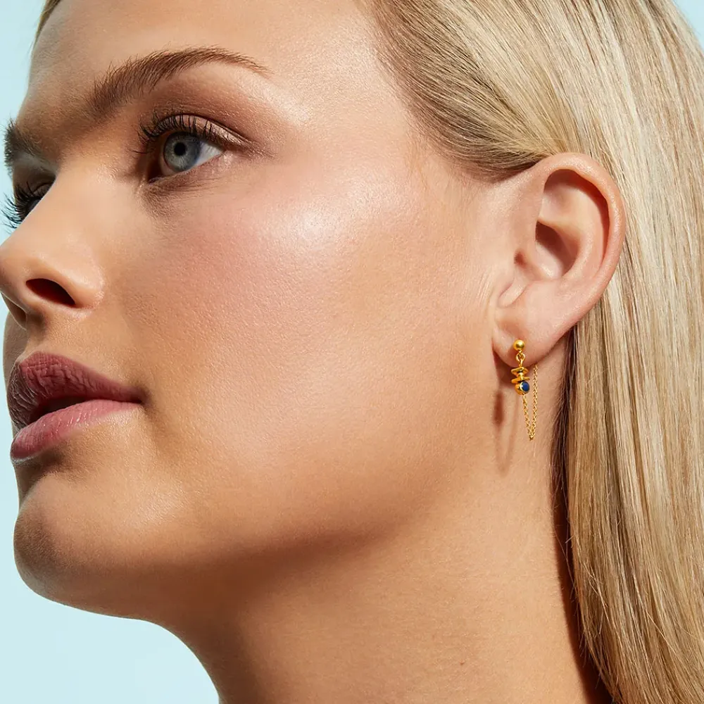 Hot Hellenistic Chain Earrings Earrings