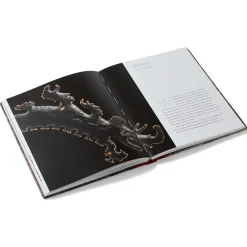 Sale Lives Of The Gods: Divinity In Maya Art Exhibition Catalogues