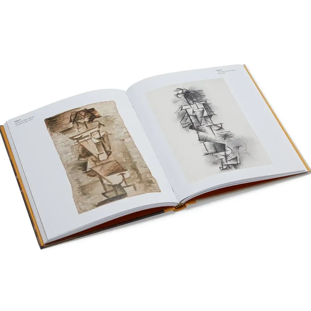 Sale Picasso: A Cubist Commission In Brooklyn Exhibition Catalogues