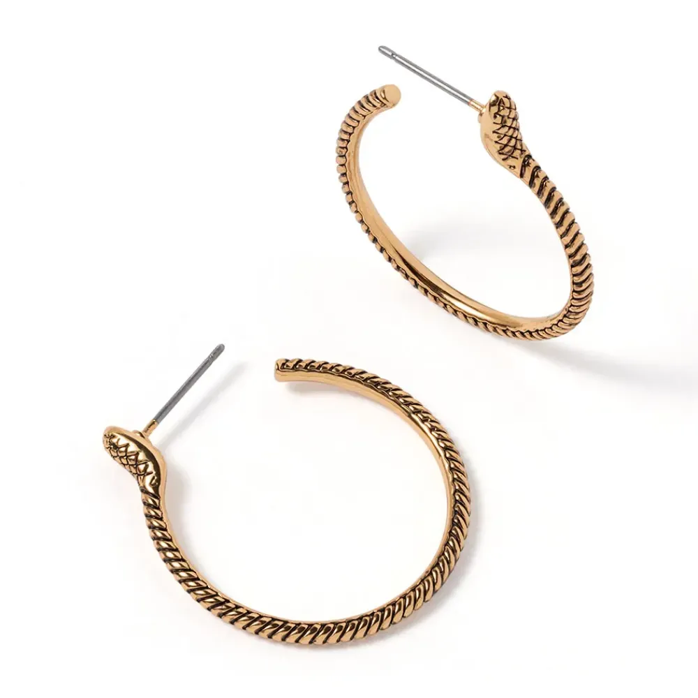 Best Serpentine Hoop Earrings Earrings