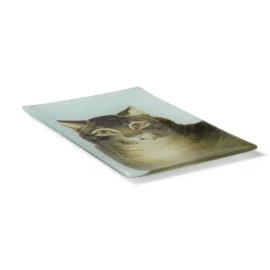 Online The Favorite Cat Glass Tray Decorative Accents